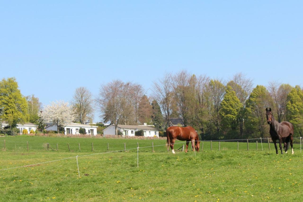Domein Hellebeuk Met Uitzicht! Valkenburg/Klimmen المظهر الخارجي الصورة